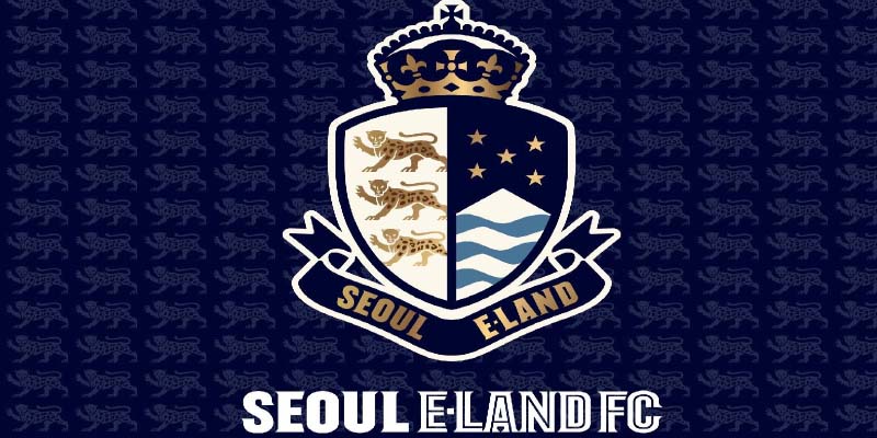 Seoul E-Land FC: A Rising Star in Korean Football